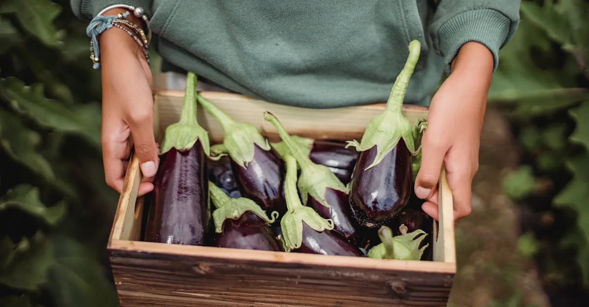 découvrez tout sur l'aubergine : ses bienfaits pour la santé, ses utilisations culinaires variées et des recettes savoureuses pour sublimer ce légume riche en nutriments.