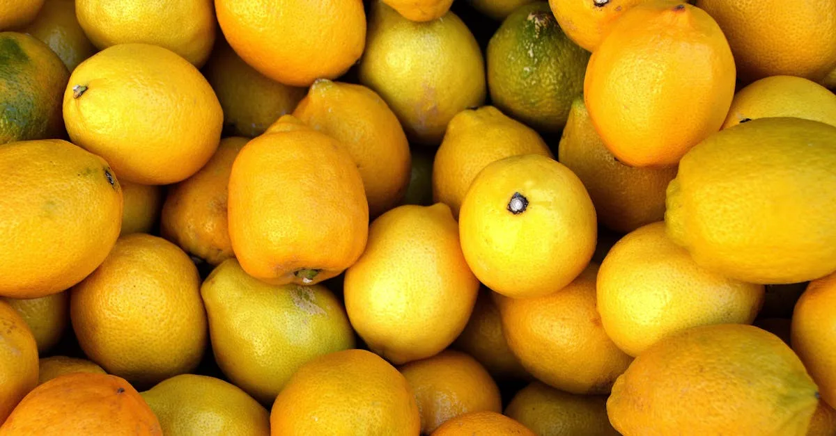 découvrez tout sur le citron : ses bienfaits, utilisations culinaires et conseils pour choisir les meilleurs fruits frais.