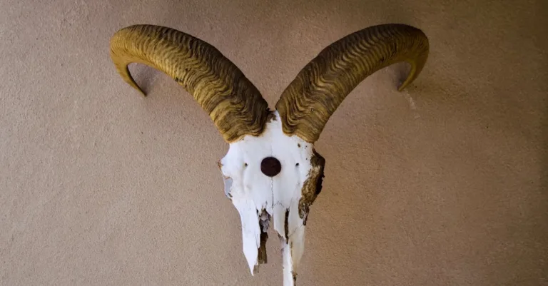 découvrez les murs en terre battue, une technique écologique et durable pour construire des structures solides et naturelles.