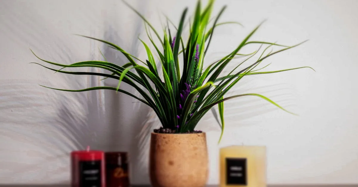 découvrez des idées inspirantes et des conseils pratiques pour la décoration d'intérieur afin de transformer votre maison en un espace élégant et chaleureux.