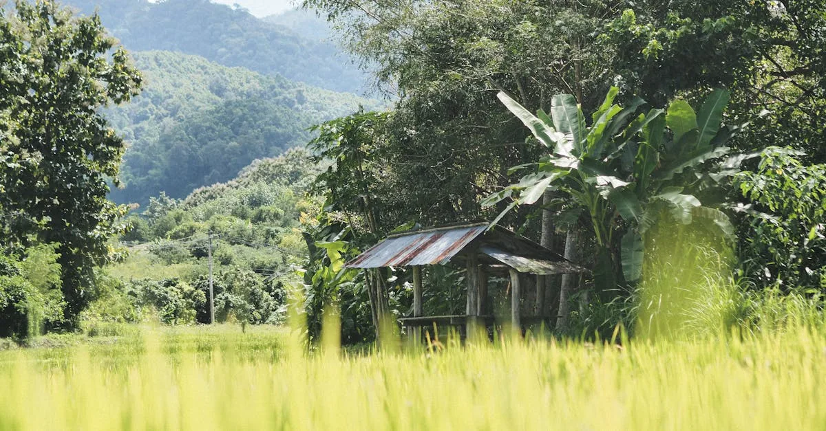 découvrez notre ferme écologique, engagée dans des pratiques durables pour préserver l'environnement tout en produisant des aliments sains et naturels.