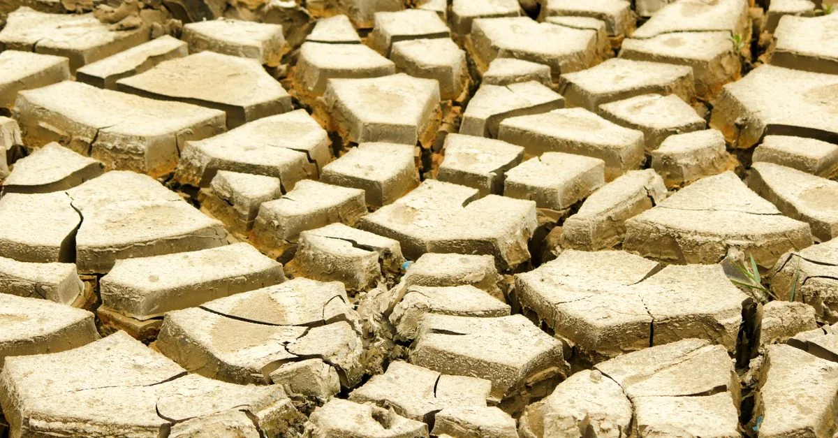 découvrez le temps de séchage du flexigrout pour optimiser vos travaux de réparation et garantir une finition durable et de qualité.
