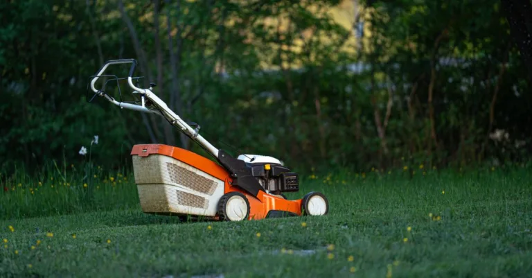 découvrez les fonctionnalités avancées des robots tondeuses pour un entretien de jardin autonome, efficace et silencieux.