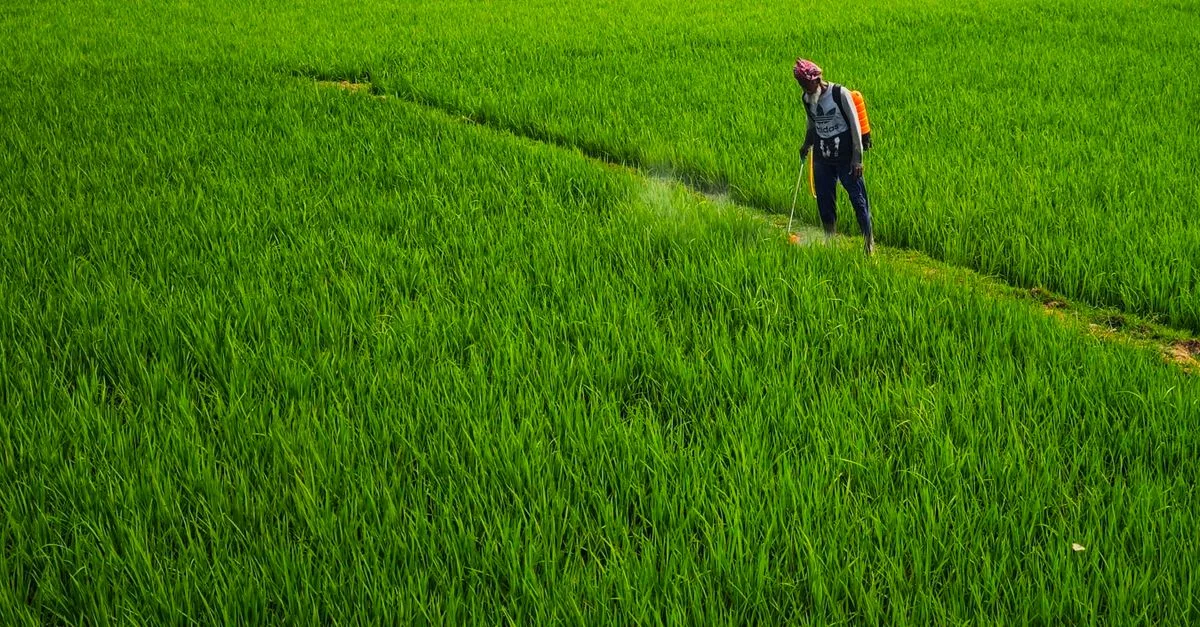 découvrez les réglementations en vigueur pour l'achat de glyphosate en espagne, incluant les conditions légales et les restrictions applicables.