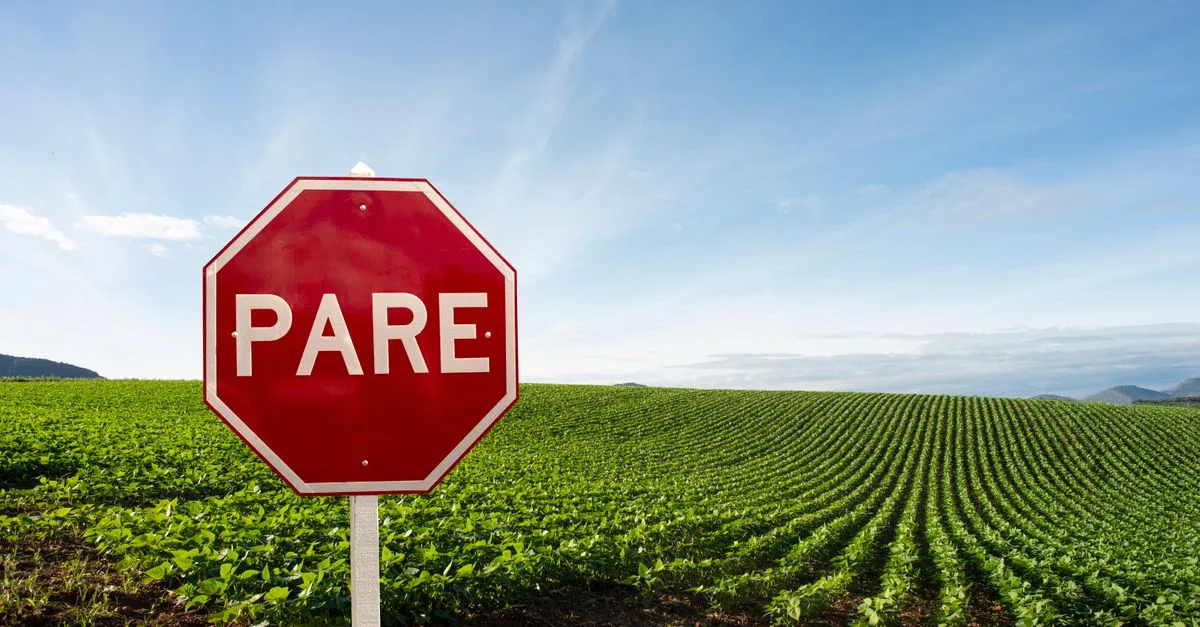découvrez la réglementation en vigueur sur l'achat de glyphosate en espagne, ses restrictions et obligations pour une utilisation conforme et sécurisée.