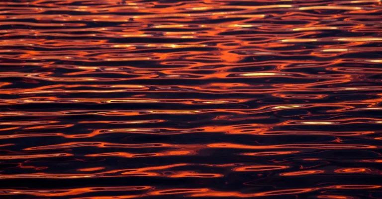 découvrez scarlet water, une expérience unique alliant fraîcheur et intensité pour revitaliser votre quotidien.