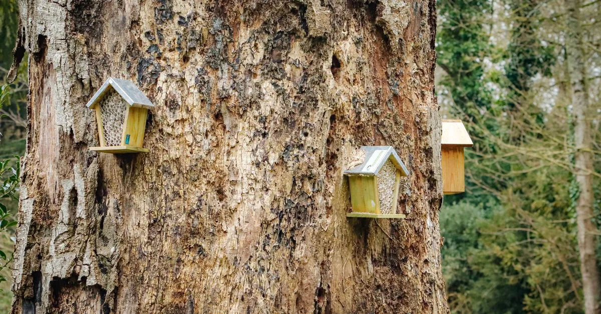 découvrez comment installer un hôtel à insectes pour favoriser la biodiversité dans votre jardin et offrir un refuge naturel aux insectes utiles.