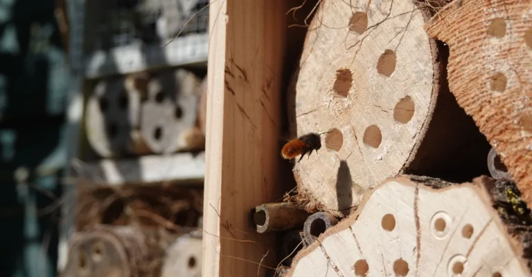 découvrez comment installer un hôtel à insectes pour favoriser la biodiversité dans votre jardin et offrir un refuge aux pollinisateurs et auxiliaires naturels.