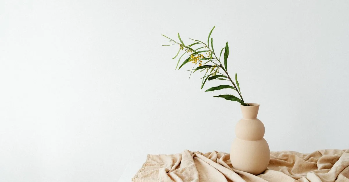 découvrez des idées et conseils pour un décor minimaliste élégant et épuré, alliant simplicité et fonctionnalité pour un intérieur harmonieux.