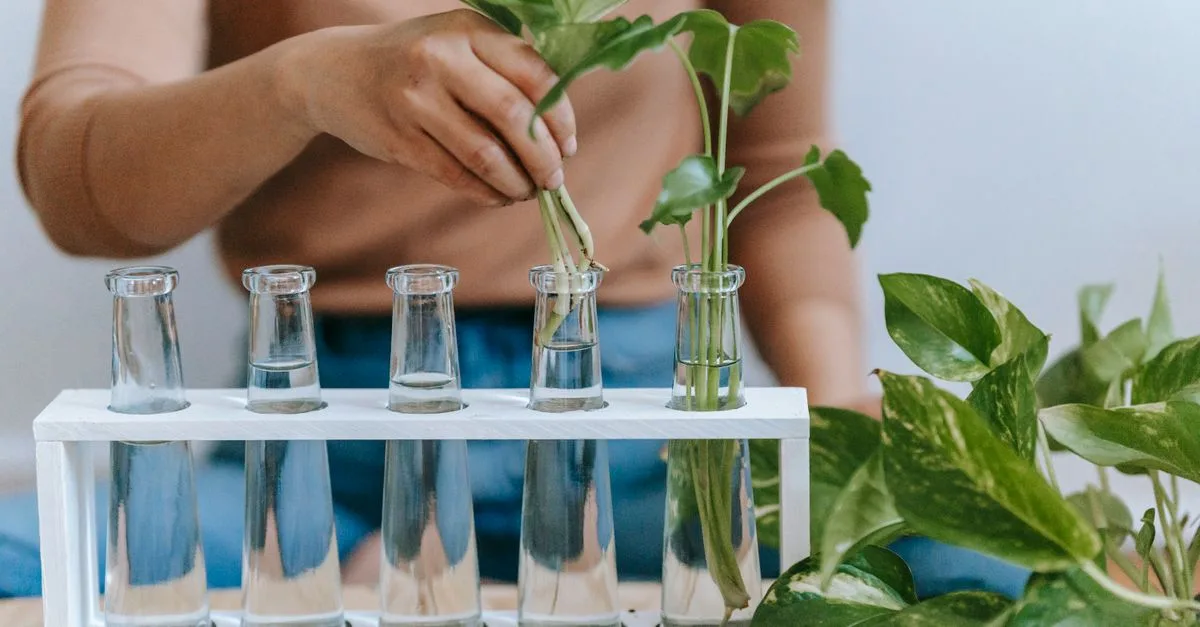découvrez tout sur la propagation : principes, méthodes et applications dans divers domaines pour mieux comprendre ce phénomène essentiel.